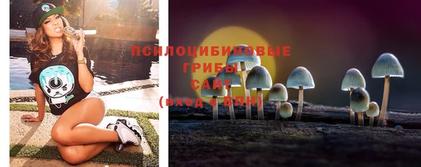 дживик Алзамай
