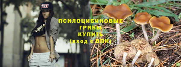спайс Алексеевка